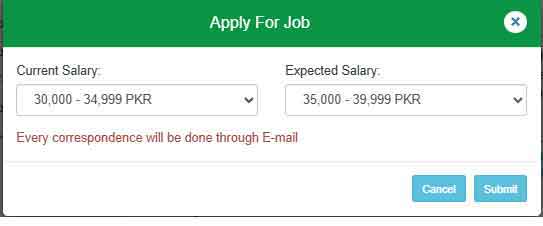 How to Apply For Punjab Jobs Portal? 